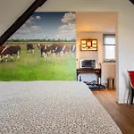 Hooischuur Alkmaar/bergen 3*