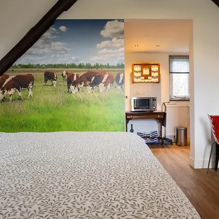 Hooischuur Alkmaar/bergen 3*